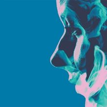 The Hong Kong Philharmonic Performs STRINGS OF THOUGHT This Month