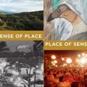 Maui Arts & Cultural Center Presents SENSE OF PLACE / PLACE OF SENSE In Schaefer…
