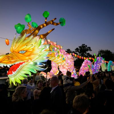 Final OZASIA FESTIVAL to Offer Free 20th Anniversary Program