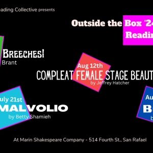 The Actors' Reading Collective Will Host Summer Reading Series Outside the Box