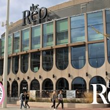 Birmingham Rep Declares Climate Emergency on World Environment Day
