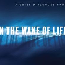 Immersive Experience IN THE WAKE OF LIFE to Premiere in New York
