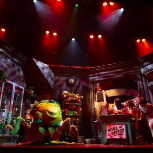 Photos: 5-Star Theatricals' LITTLE SHOP OF HORRORS at Bank of America Performing…