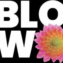 ARTECHOUSE NYC Debuts BLOOMING WONDERS and Continues SUBMERGE: BEYOND THE RENDER