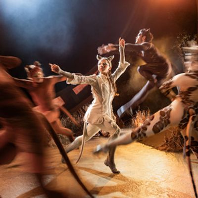 Photos: Rachael Wooding, Melanie La Barrie, and More in CATS at Regent's Park Open Ai