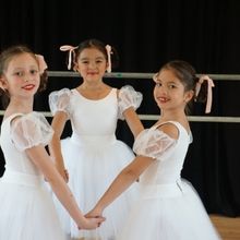 North Shore Civic Ballet Opens Spring Auction in June