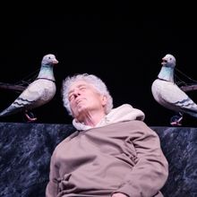 Photos: THE AVES At Berkeley Repertory Theatre
