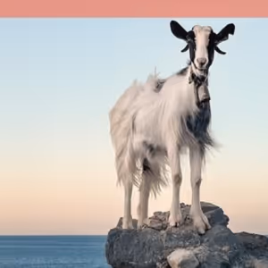 Cast Set For THE LAST GOAT at Central Works