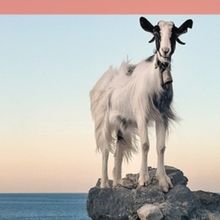 Cast Set For THE LAST GOAT at Central Works