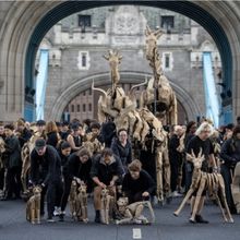 THE HERDS Public Art Exhibition Arrives in London