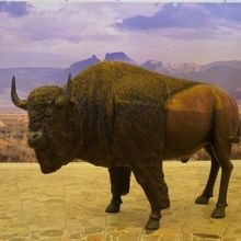 El Fotógrafo Cuauhtémoc Piña Ofrecerá Una Visita Y Una Charla Sobre Su Exposició