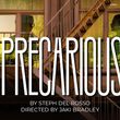 World Premiere of PRECARIOUS Will Come to Mosaic Theater Company Photo