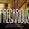 World Premiere of PRECARIOUS Will Come to Mosaic Theater Company