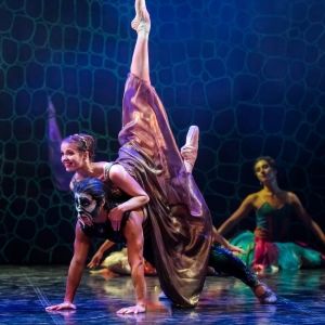 BEASTLY BALLET Comes To Leeds Next Month Interview