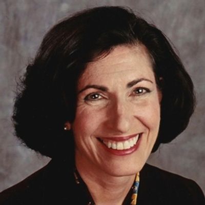 The Shakespeare Theatre Appoints Anisa Mehdi As President Of Board Of Trustees