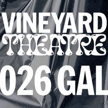 Ariana DeBose, LaToya Edwards, and More Join Vineyard Theatre's 2026 Gala