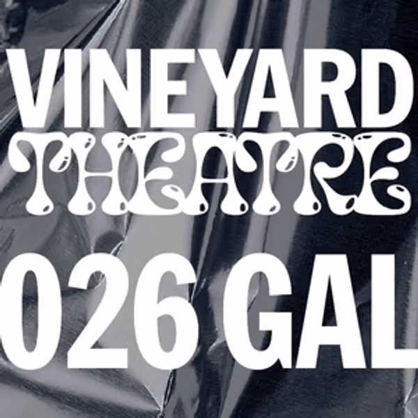 Ariana DeBose, LaToya Edwards, and More Join Vineyard Theatre's 2026 Gala Photo