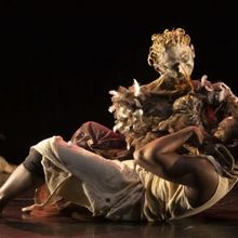 SWAN LANGUAGE Comes to the Paris Opera in December