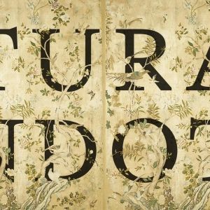 TURANDOT Comes to Theatre Basel This Week