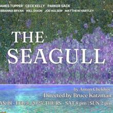 THE SEAGULL Comes to the Odyssey Theatre in January