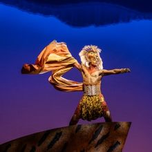 Photos: Get a First Look at THE LION KING's New Simba, Vincent Jamal Hooper