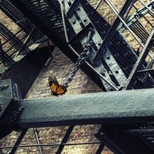 SANCTUARY CITY Comes to TheaterWorks Hartford This Month