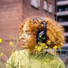 Intimate Sound Experience 1000 MINIATURE MEADOWS To Plant A Wildflower Meadow As Part