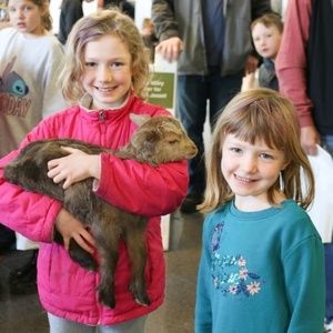 Washington Pavilion To Host Ag Day Community Event