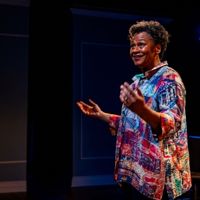 VIDEO: Get A First Look at LADYSITTING at Arden Theatre Company; Now Extended Video