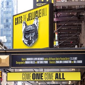 Up on the Marquee: CATS: THE JELLICLE BALL Pounces to Broadway