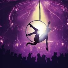 Paramount Theatre's Circus-Themed Revival Of Andrew Lloyd Webber's CATS Begins In Apr