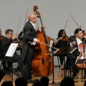 Estrena La Orquesta De Cámara De Bellas Artes La Serenata Para Cuerdas De Vasily…