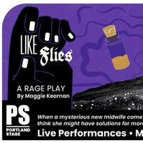 LIKE FLIES: A RAGE PLAY Comes to Portland Stage