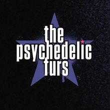 THE PSYCHEDELIC FURS To Perform Live At Ruth Eckerd Hall