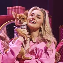 Photos: Amber Davies and More in LEGALLY BLONE UK and Ireland Tour