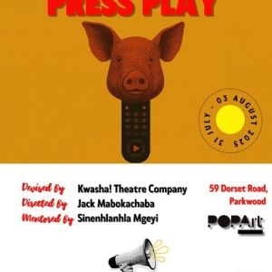 ON A SERIOUS NOTE: PRESS PLAY Premieres at POPArt Theatre Beginning July 31