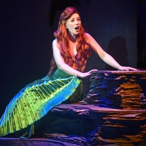 Tickets to All 2025 Season Shows at Beef & Boards Now On Sale
