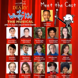 DIARY OF A WIMPY KID Will Come to Valley Youth Theatre