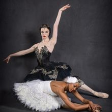 SWAN LAKE Comes to Cape Town and Joburg