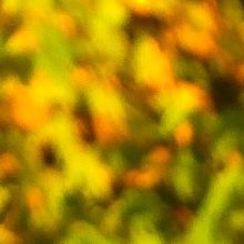 Ha Ha Hamptons Comedy Tour Returns to Bay Street Theater in April