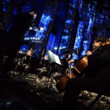 LUMINISCENCE to Launch at St. Patrick's Cathedral in NYC