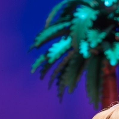 Photos: LEGALLY BLONDE THE MUSICAL Now on UK and Ireland Tour
