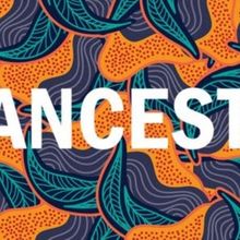 QPAC Will Host CLANCESTRY Festival in July and August