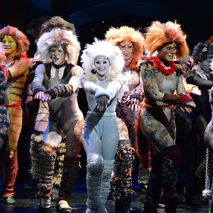 Tickets Now On Sale For Beef & Boards’ 2026 Season