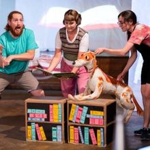 New Shows Set For Early 2025 at Scarborough's Stephen Joseph Theatre