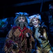 Tickets on Sale This Week For CATS at Theatre Royal Sydney