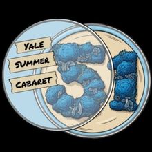 Yale Summer Cabaret PETRI DISH Unveils 51st Season of Bold New Works