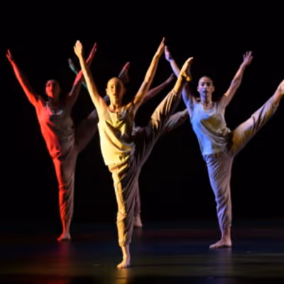 Daniel Lewis Dance Sampler To Perform At The New World Dance Theater