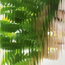 Lyric Hammersmith Theatre's SPRINGBOARD to Stage Fresh Adaptation of THE BACCHAE This