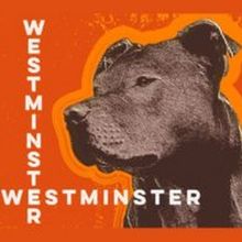 World Premiere of WESTMINSTER Comes to Urbanite Theatre This Month